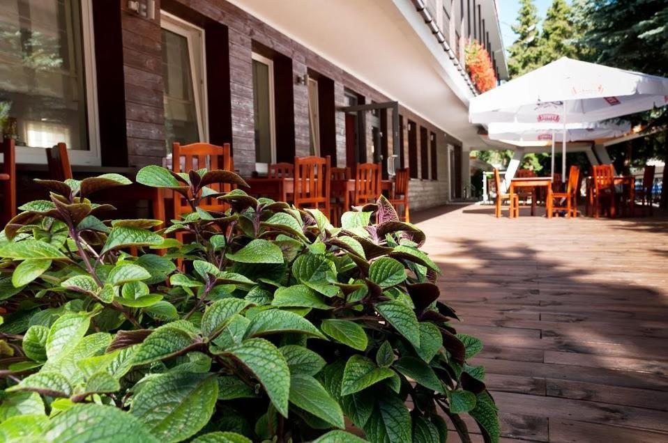Vistula Hotel Świecie Dış mekan fotoğraf